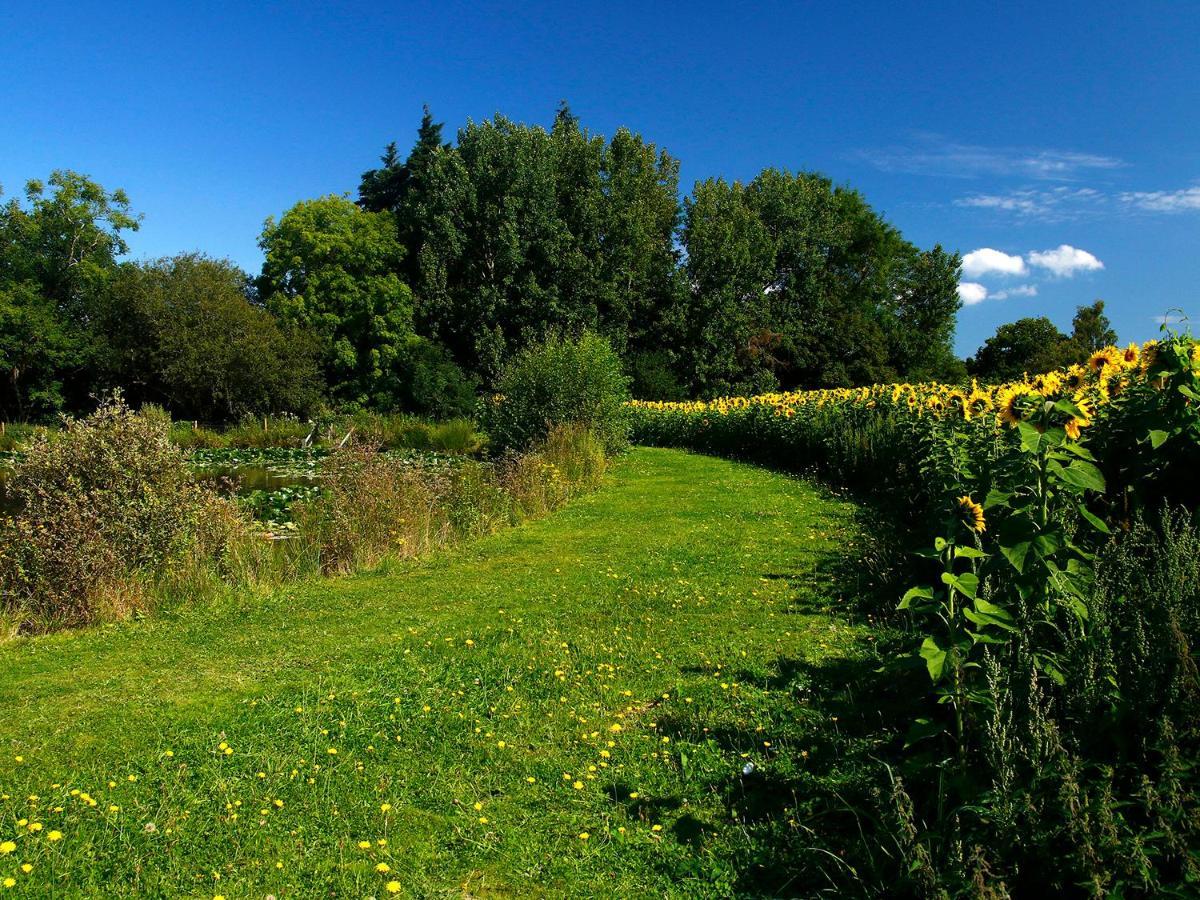 Birch Lodge Newton Abbot Bagian luar foto