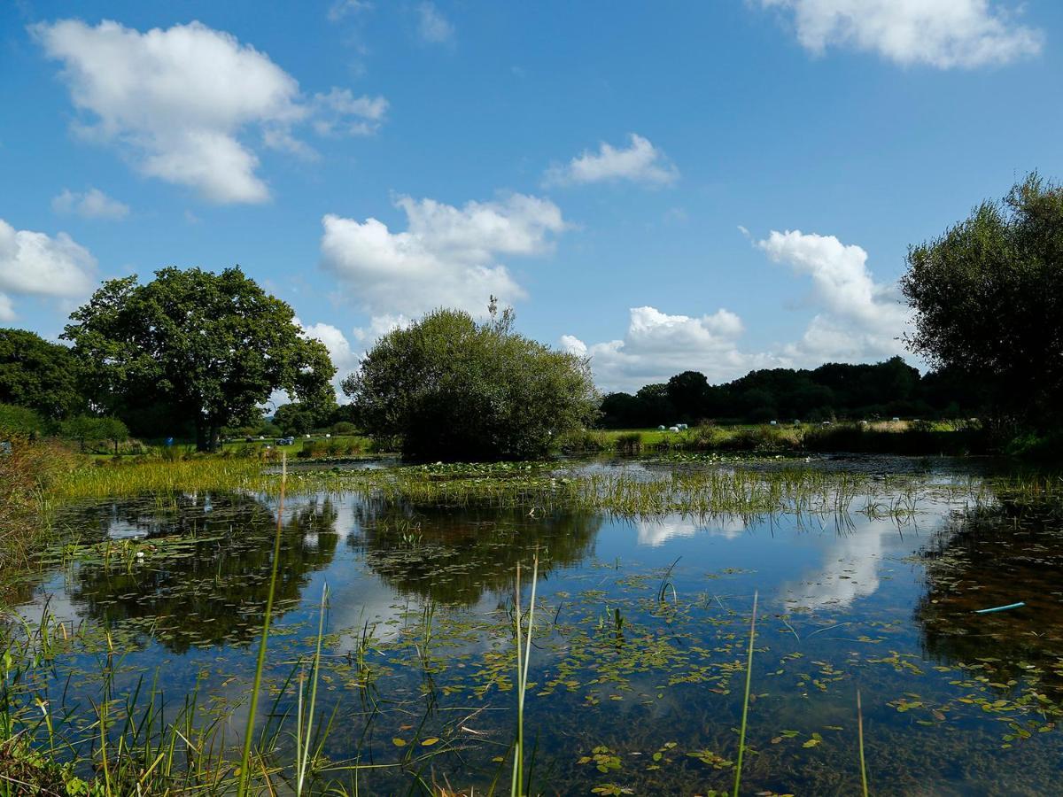 Birch Lodge Newton Abbot Bagian luar foto